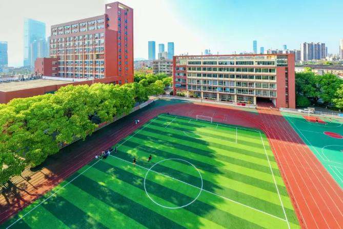 达标+优秀，我校办学能力获得双认可